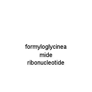 formyloglycineamide ribonucleotide